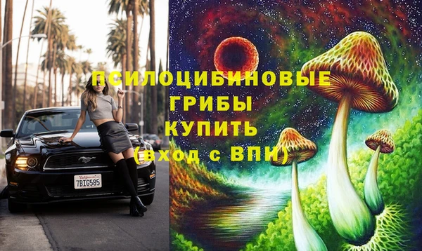 ешки Алзамай