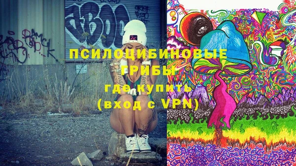 ГАЛЛЮЦИНОГЕННЫЕ ГРИБЫ Алексин