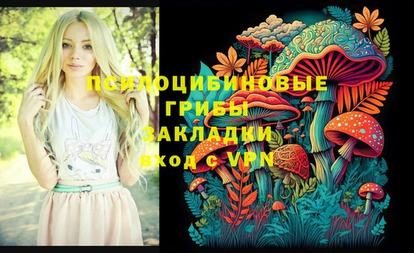 стаф Алексеевка