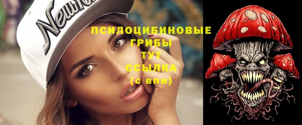 ешки Алзамай