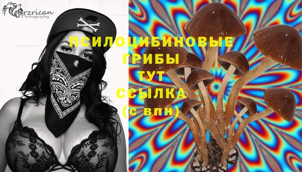 стаф Алексеевка