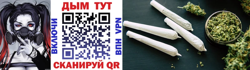 Канабис SATIVA & INDICA Бологое