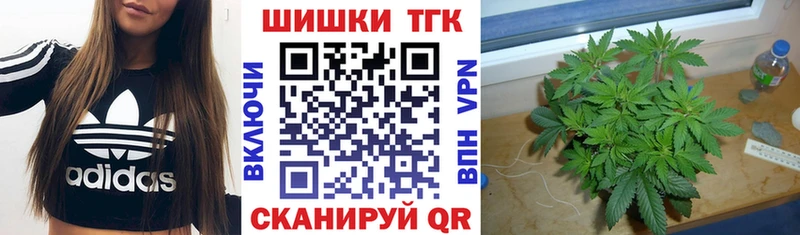 купить наркотик Бологое Шишки марихуана конопля